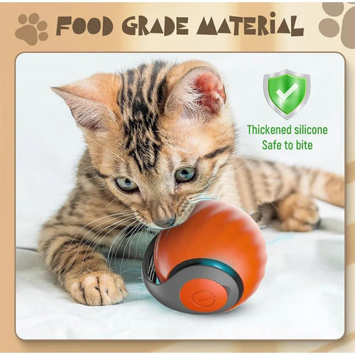 Cats Interactive Ball Toys